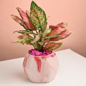 Botanical Whispers Of Pink Serenity